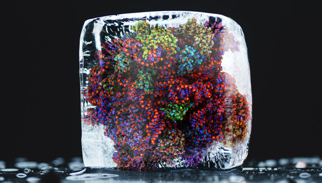 Ледяной микромир: как заглянуть внутрь живой клетки
