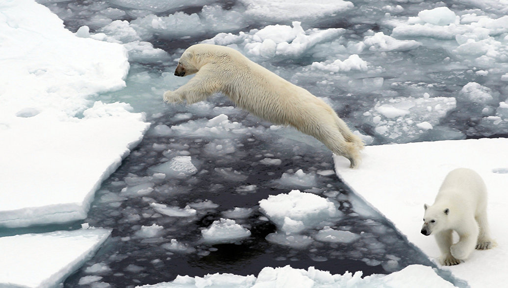 НАСА: площадь льдов в Арктике достигла рекордно низких значений