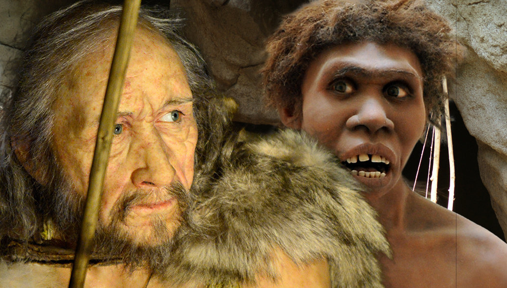 Человек выживший: как наши предки победили неандертальцев