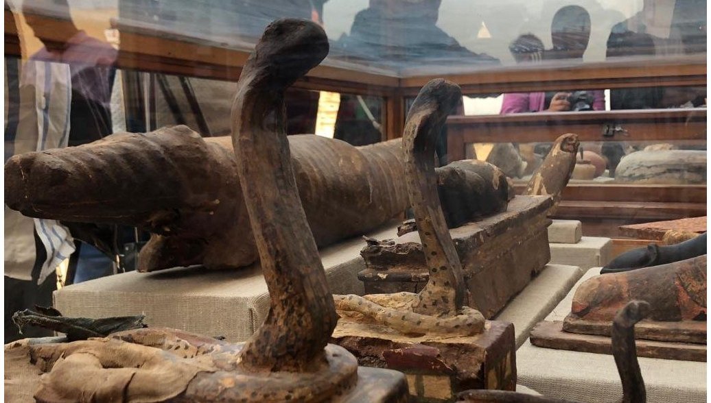 В Египте нашли гробницы с мумифицированными животными